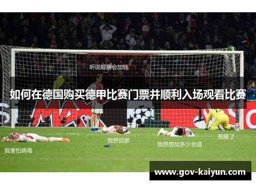 如何在德国购买德甲比赛门票并顺利入场观看比赛