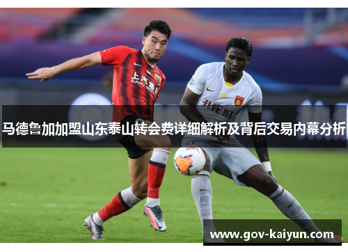 马德鲁加加盟山东泰山转会费详细解析及背后交易内幕分析