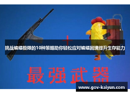 挑战蝙蝠极限的10种策略助你轻松应对蝙蝠困境提升生存能力